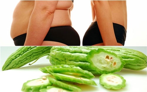 Mách bạn các nước uống từ mướp đắng giảm cân, chữa bệnh