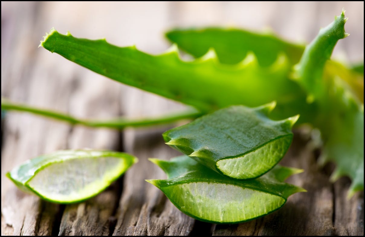 KHỎE, TRẺ, ĐẸP NHỜ UỐNG NƯỚC ÉP LÔ HỘI