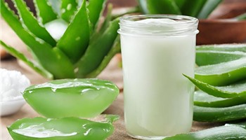 Cách làm sữa chua bằng nồi lẩu điện